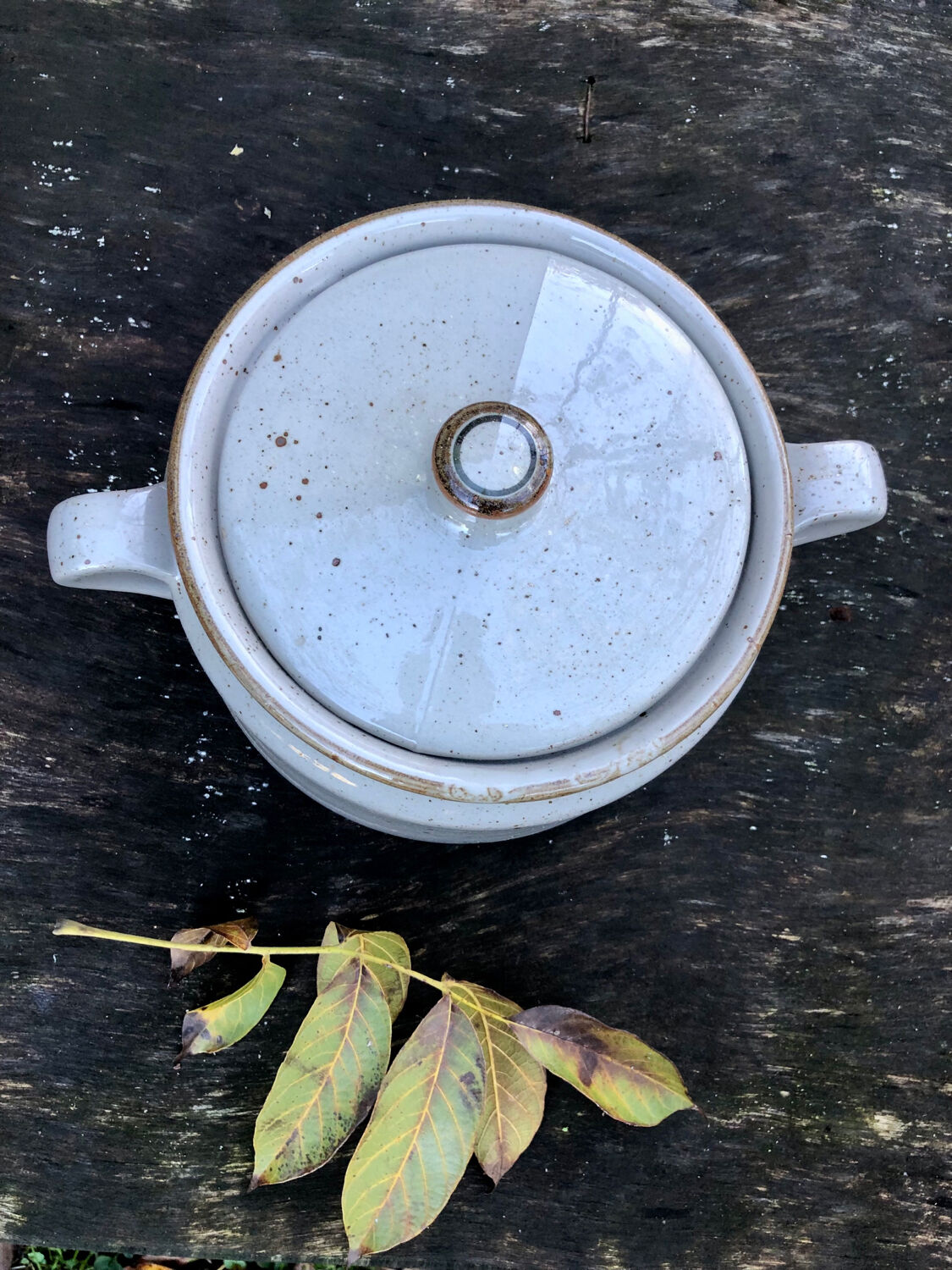 Glazed stoneware tureen