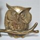 Three owls on a massive brass branch vintage wall decoration