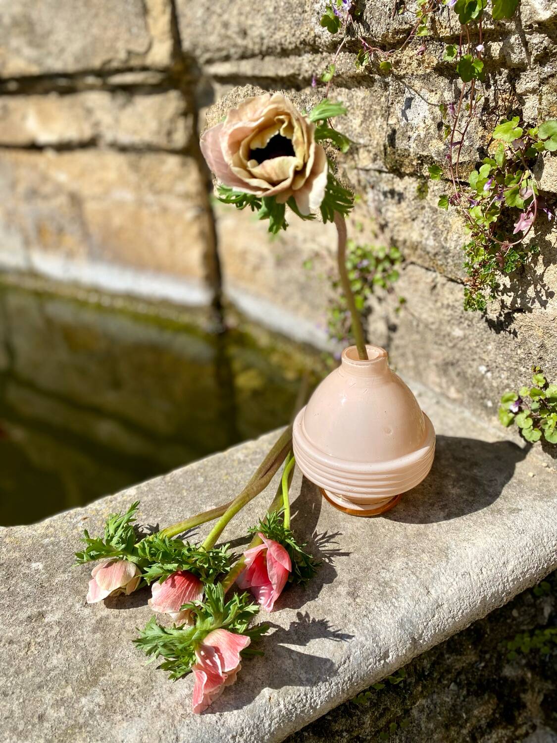 Old pink vase lamp base