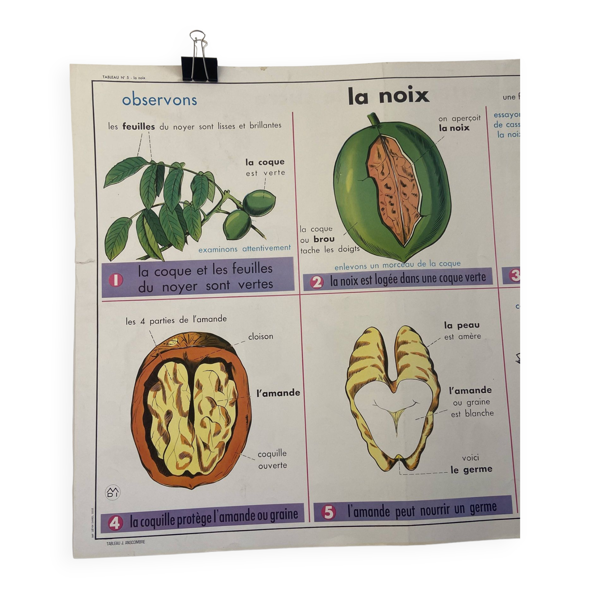 Vintage educational poster