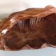 Brutalist carved wood fruit basket / vintage 60s-70s