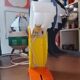 Toucan Lamp