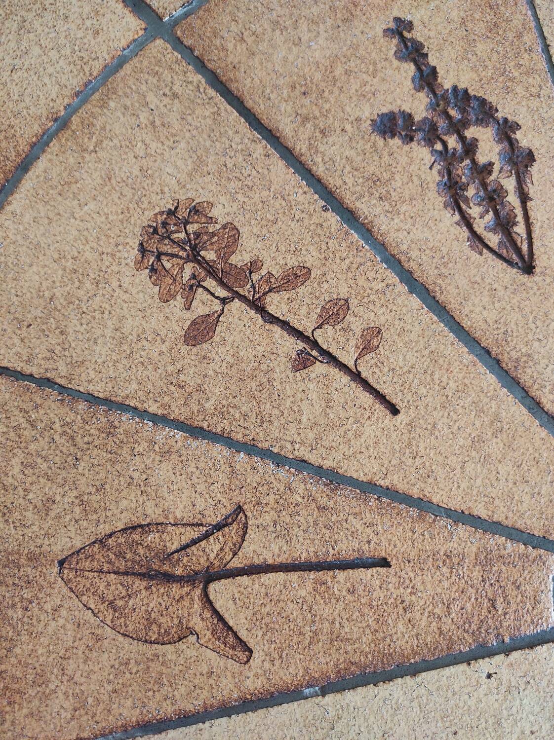 Coffee table R.Capron