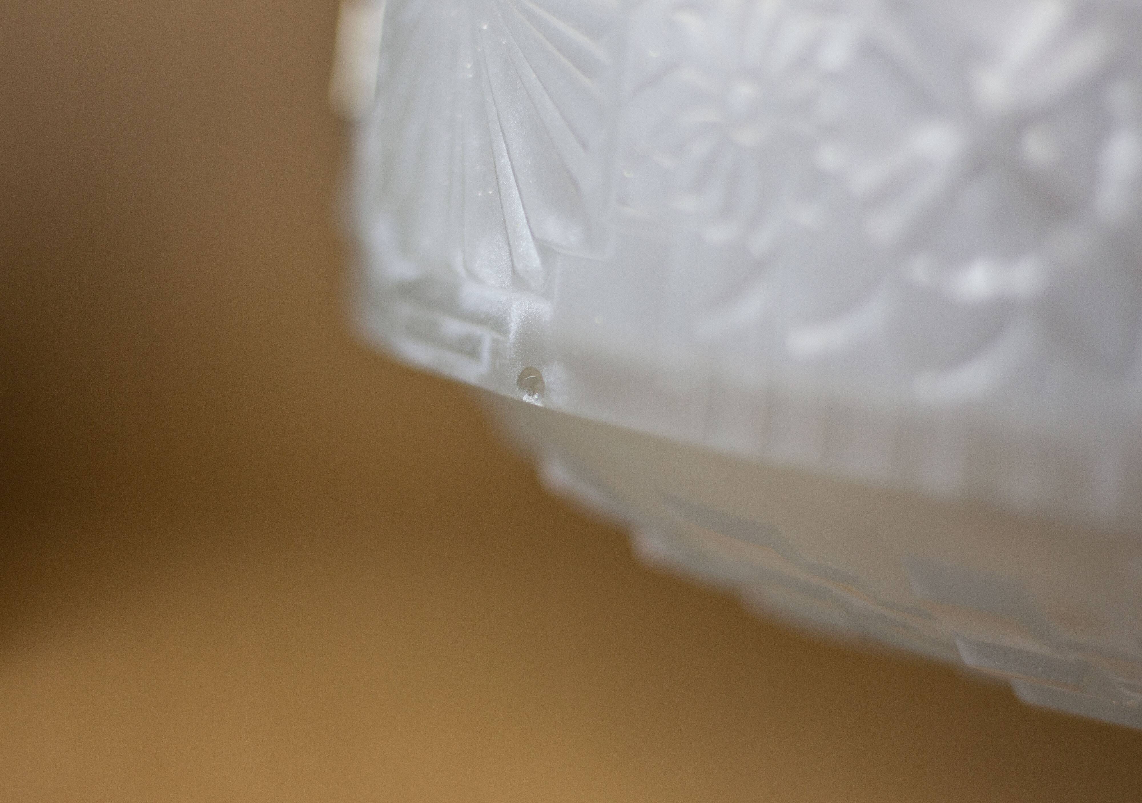 Art deco nickel plated bronze chandelier with art deco tulip glass, ceiling lamp, art deco pendant light, 30