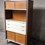 Vintage EFA bookcase and shelves by Georges Frydman