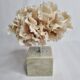 Ancient white coral on marble base