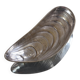Shell-shaped bowl