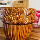 Orchies flowerpot