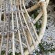 Set of 3 vintage rattan armchairs