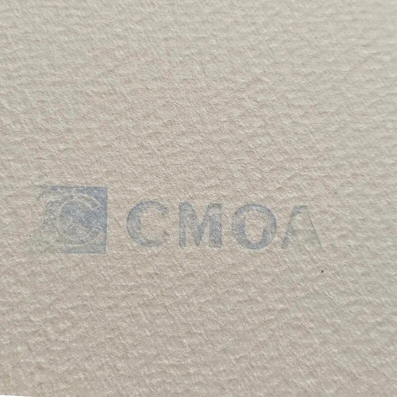Lithographie d'Andy Warhol Édition Limitée par Cmoa. Après, COA