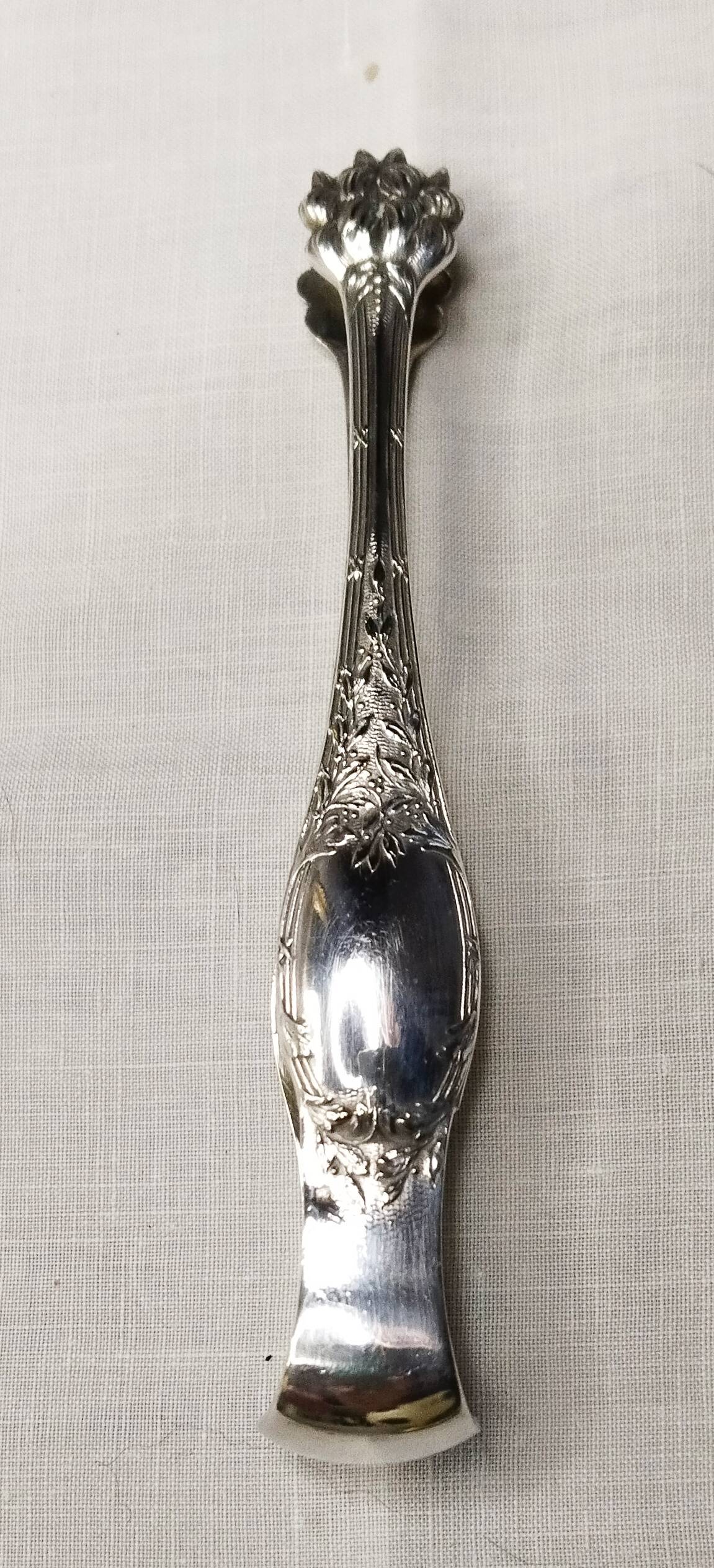 Silver ice tongs