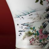 Vase d'appréciation en porcelaine Rose de Style dynastie Qing, Motif d'oiseau et de fleur, artisanat classique