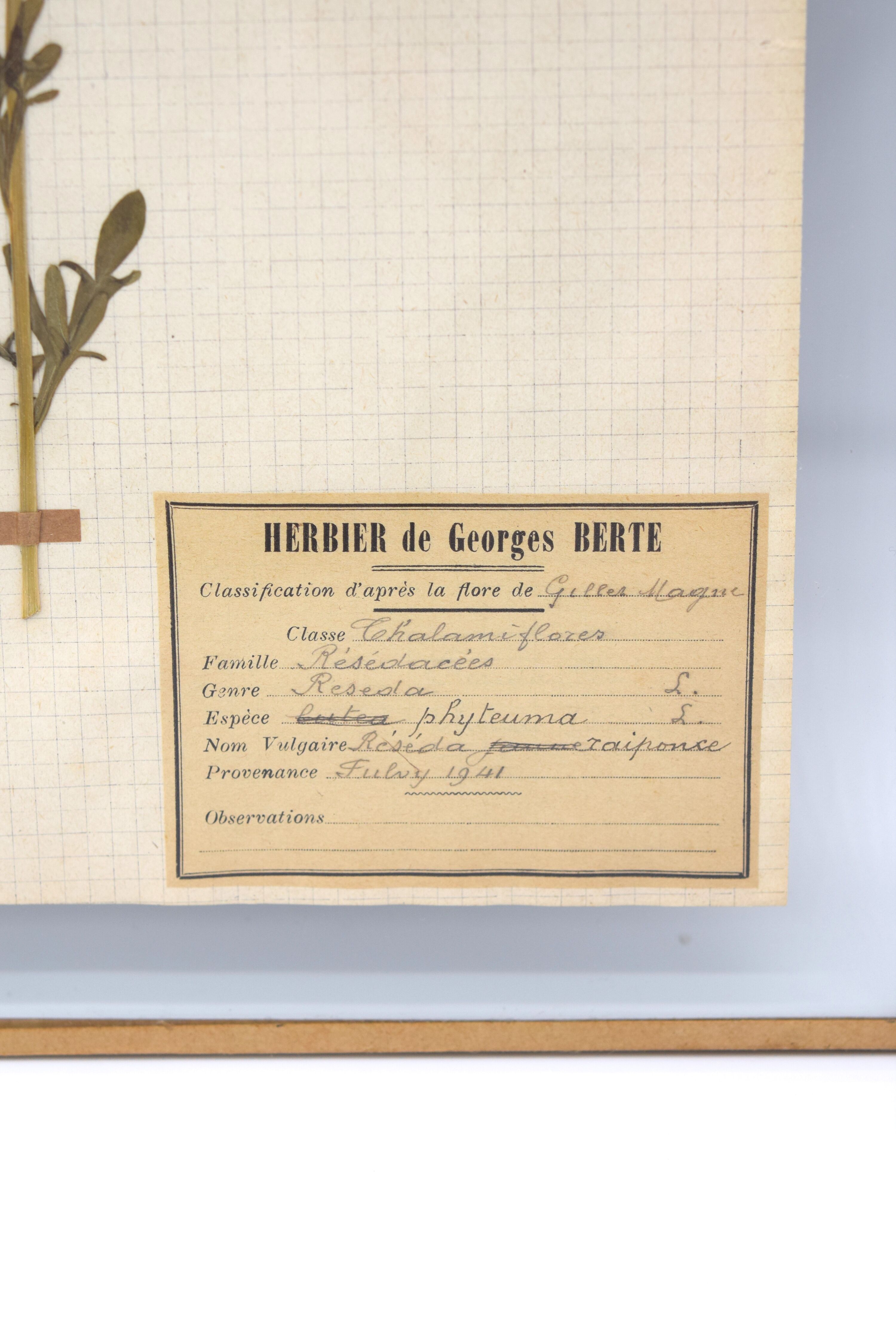 George Bert Herbarium