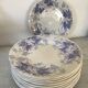 Lot de 10 assiettes Sarreguemines