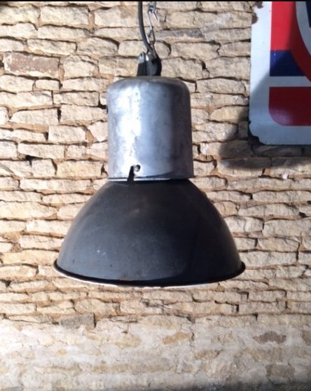 Plant 50 years old lamp