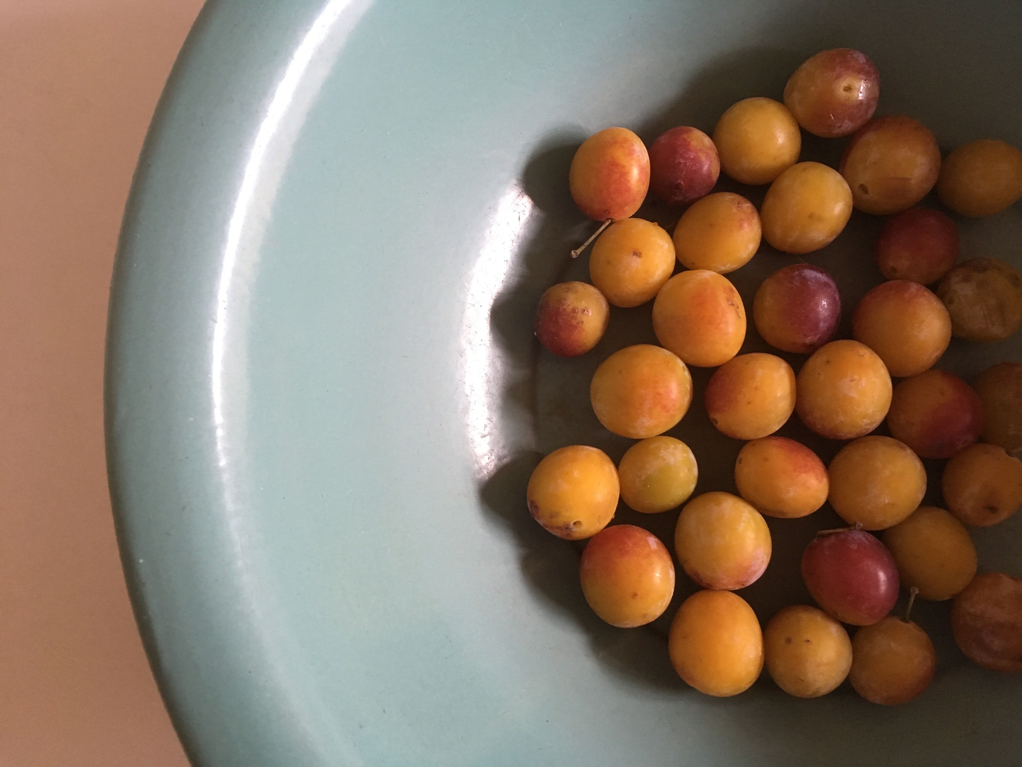 Dish plate glazed turquoise green farm, years 50