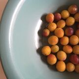 Dish plate glazed turquoise green farm, years 50