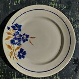 8 flat plates Badonviller model "Tunis