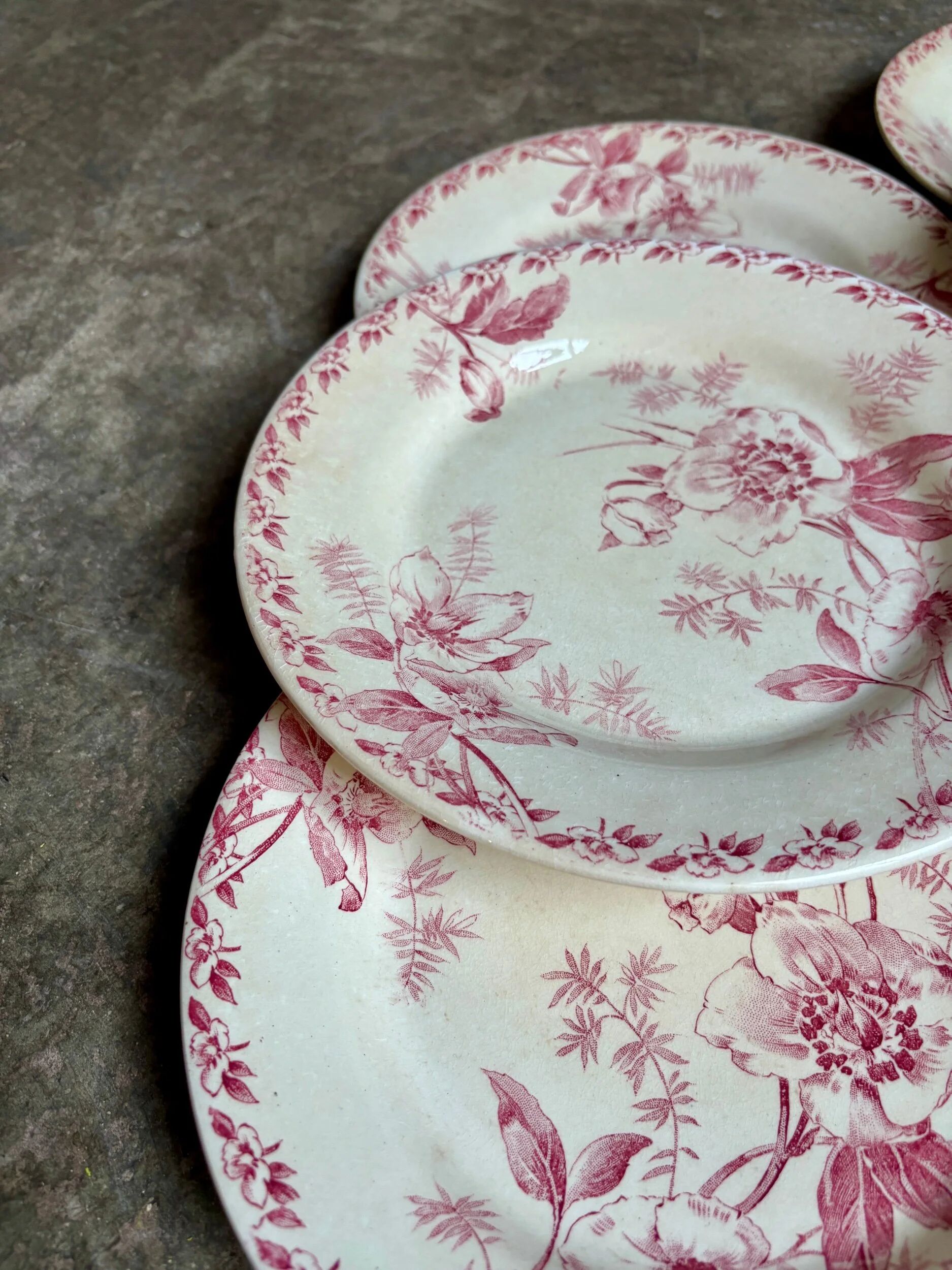 6 assiettes plates Gien en terre de fer rose, service "Roses de Noël"