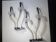 Pair of wall sconces in glass and chrome metal