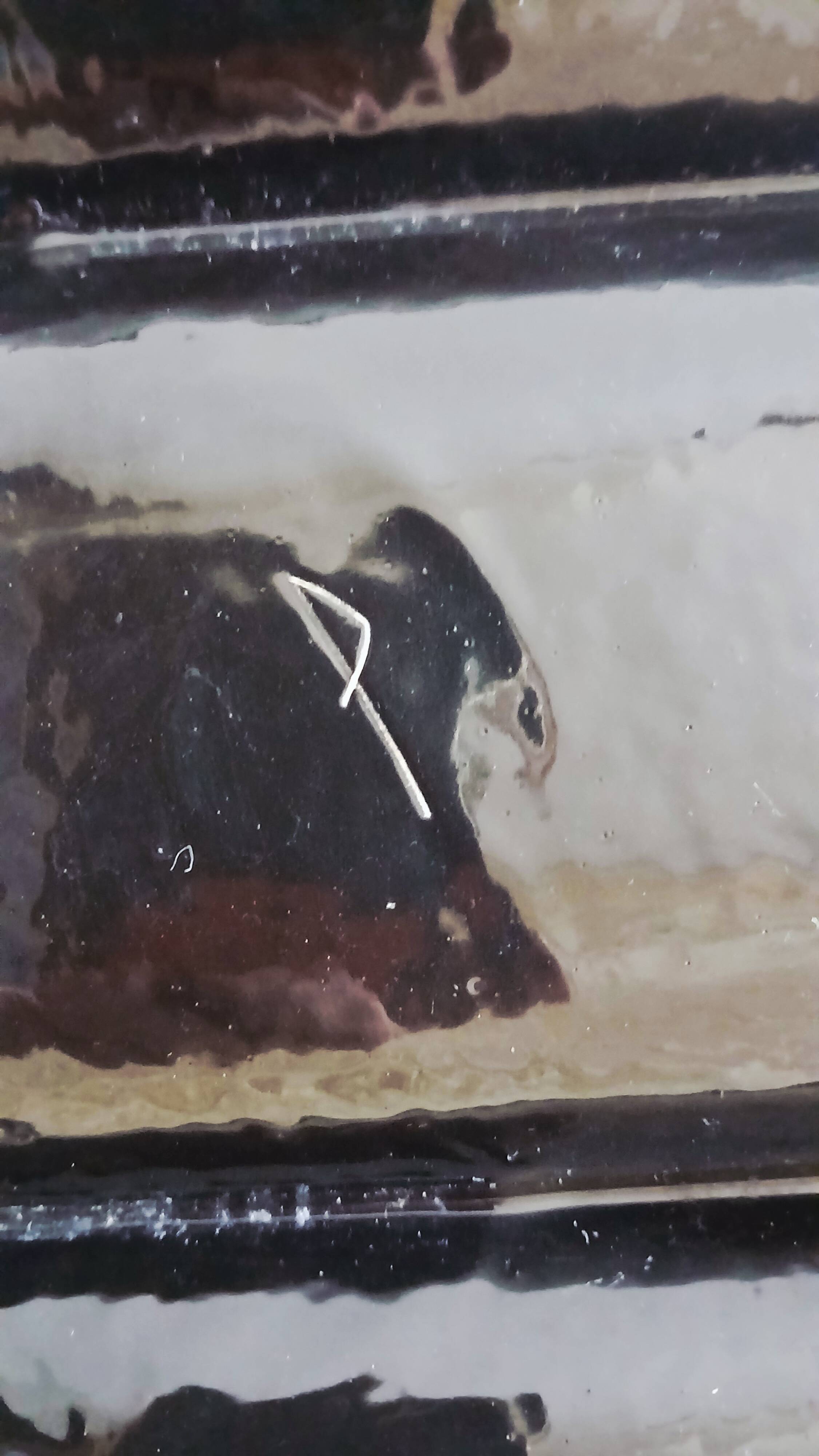 Vintage ceramic dish with 3 compartments and flower decor