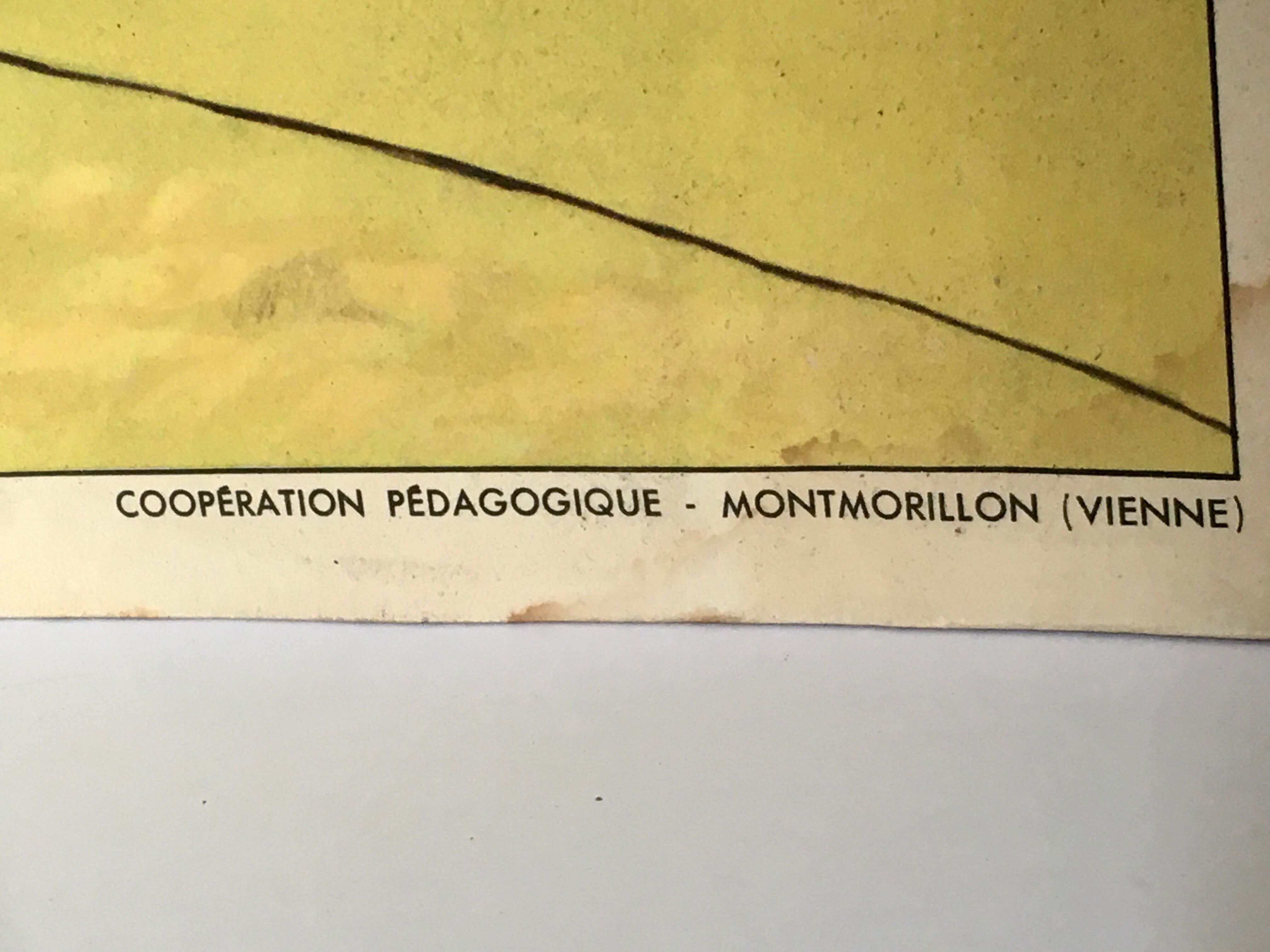 School poster vintage school landscape mountain two-sided signed Raylambert for Rossignol 50s