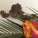 Old brass pediment, floral motifs and ribbon