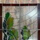 Ancient stained glass landscape decoration – Trees and hills – Early 20th century