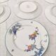 7 porcelain plates from Limoges - Haviland