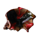 Vallauris shells catchall