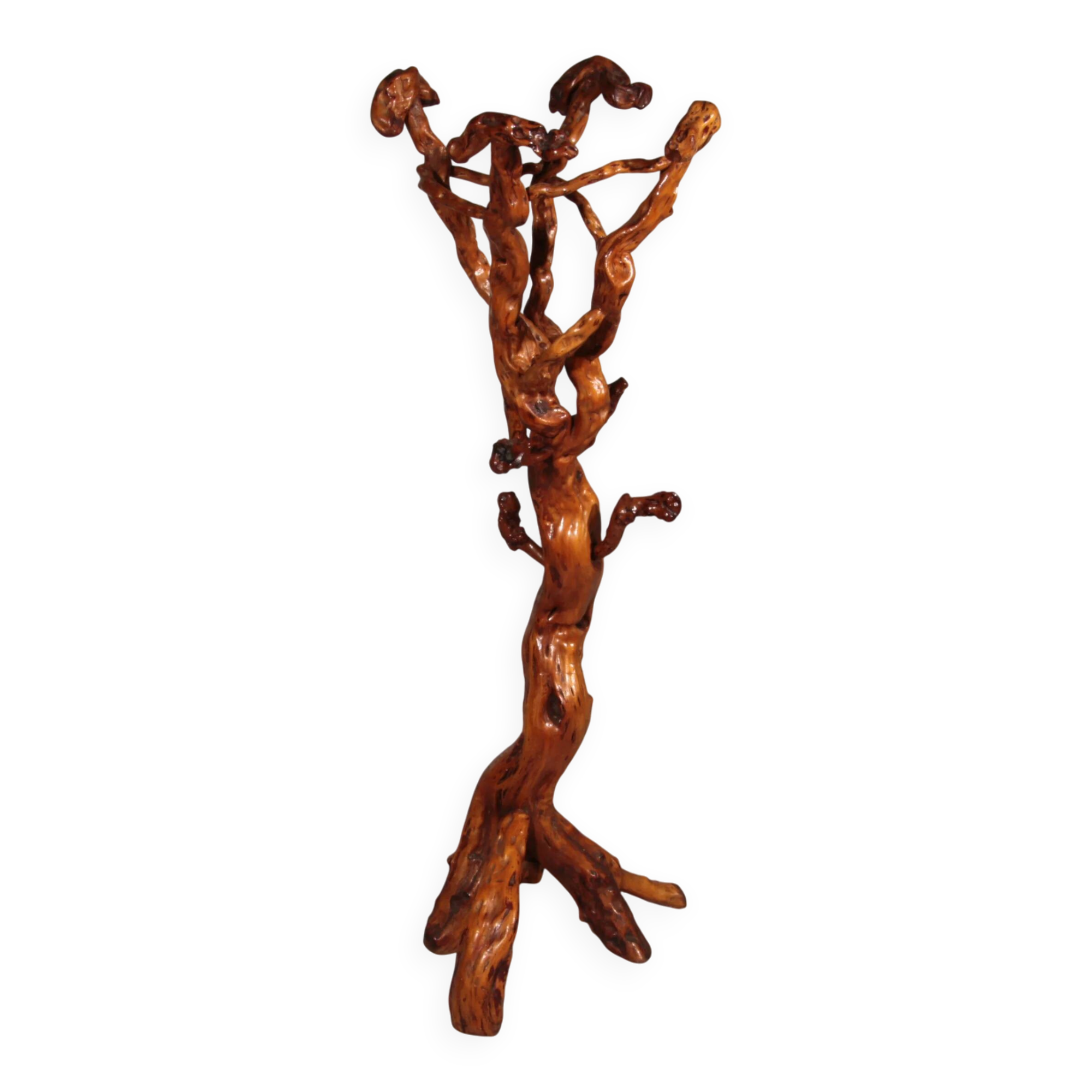 Sculptural oak coat rack – a functional work of nature Italy 60
