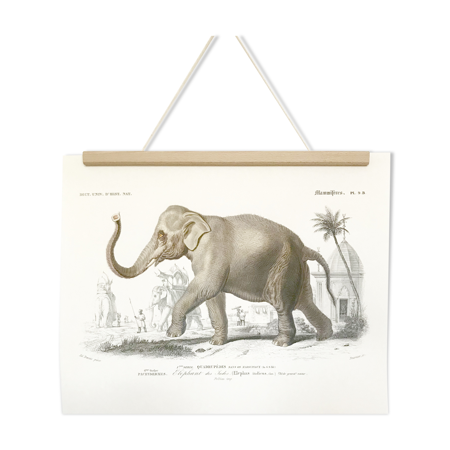 Board depicting an elephant