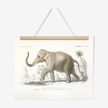 Board depicting an elephant