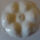 Set of 4 oyster plates Sarreguemines