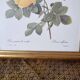 2 paintings with period lithographed flowers and gilded wooden frame.