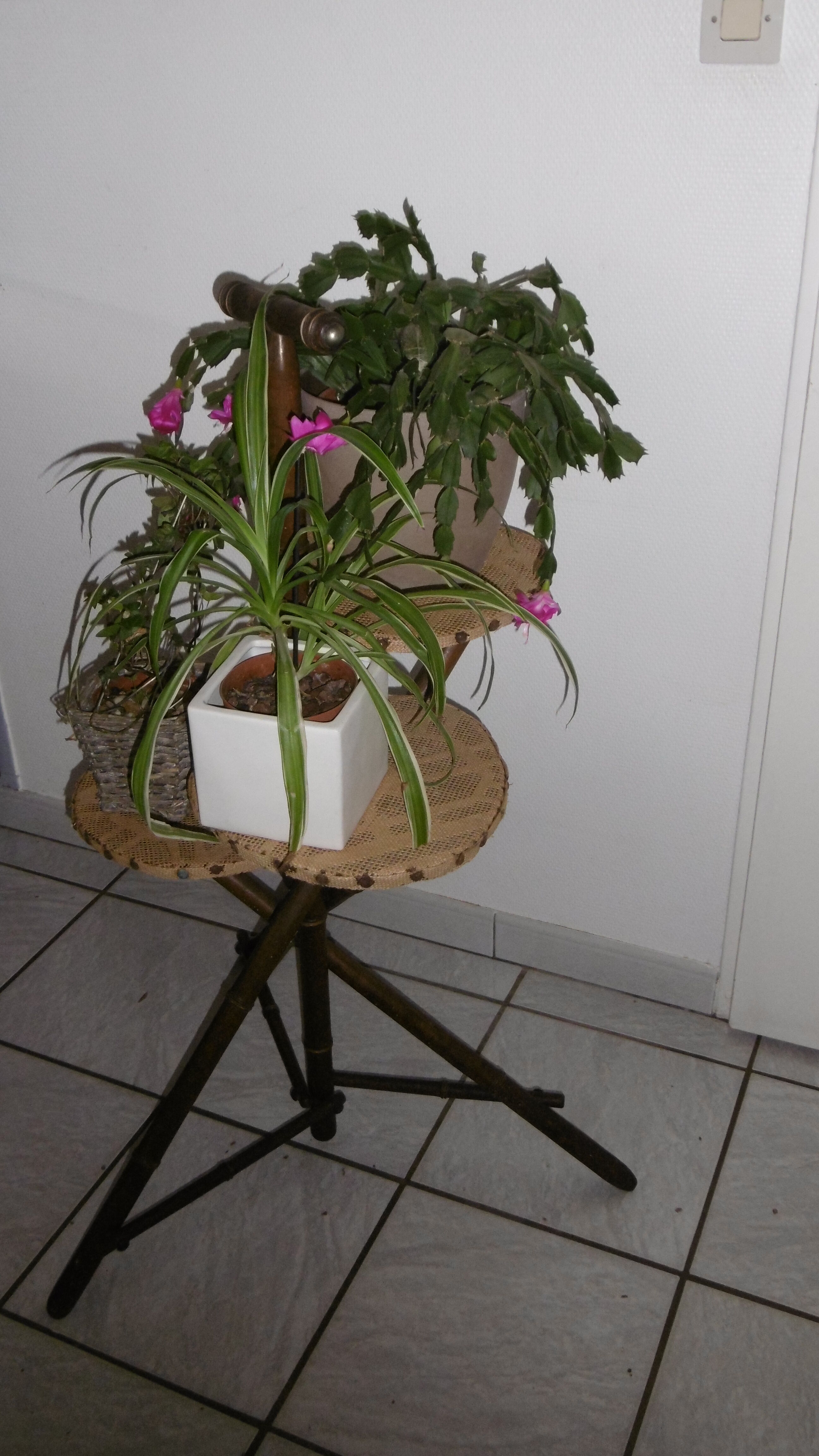 Support of 3-door plants