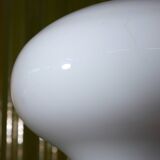 LT 220 Floor Lamp with Chrome Detail for Mazzega by Carlo Nason