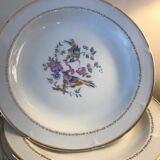 24 fine porcelain plates