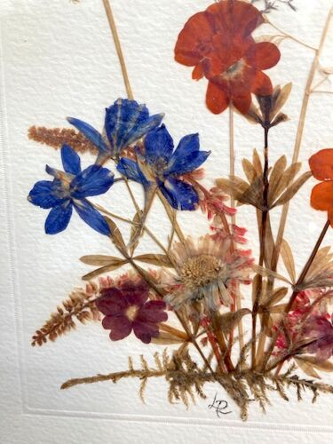 Frame of dried flowers
