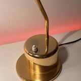 Vintage Collector Brass Floor Lamp