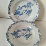8 ironstone plates from the 19th century in blue camaïeu, mixed manufacturers.