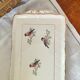 Plat à cake Ceranord St Amand, motifs oiseaux