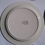 9 green dessert plates