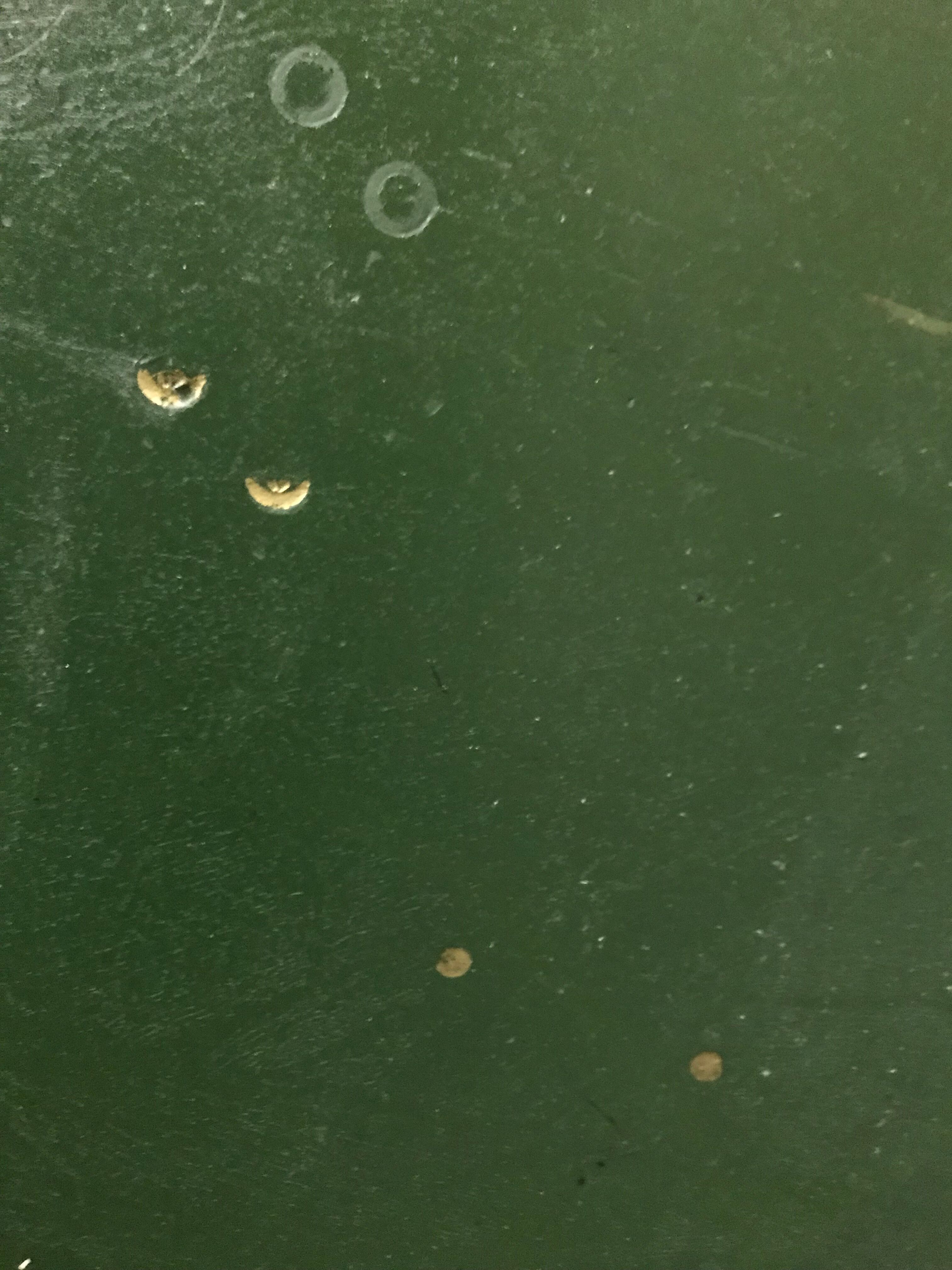 Industrial desk "flambo"