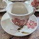 Saint-Amand Camelia – 6 hand-painted cups and saucers – 1950s/1960s