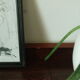Pair of vintage vintage wood retro bedsides