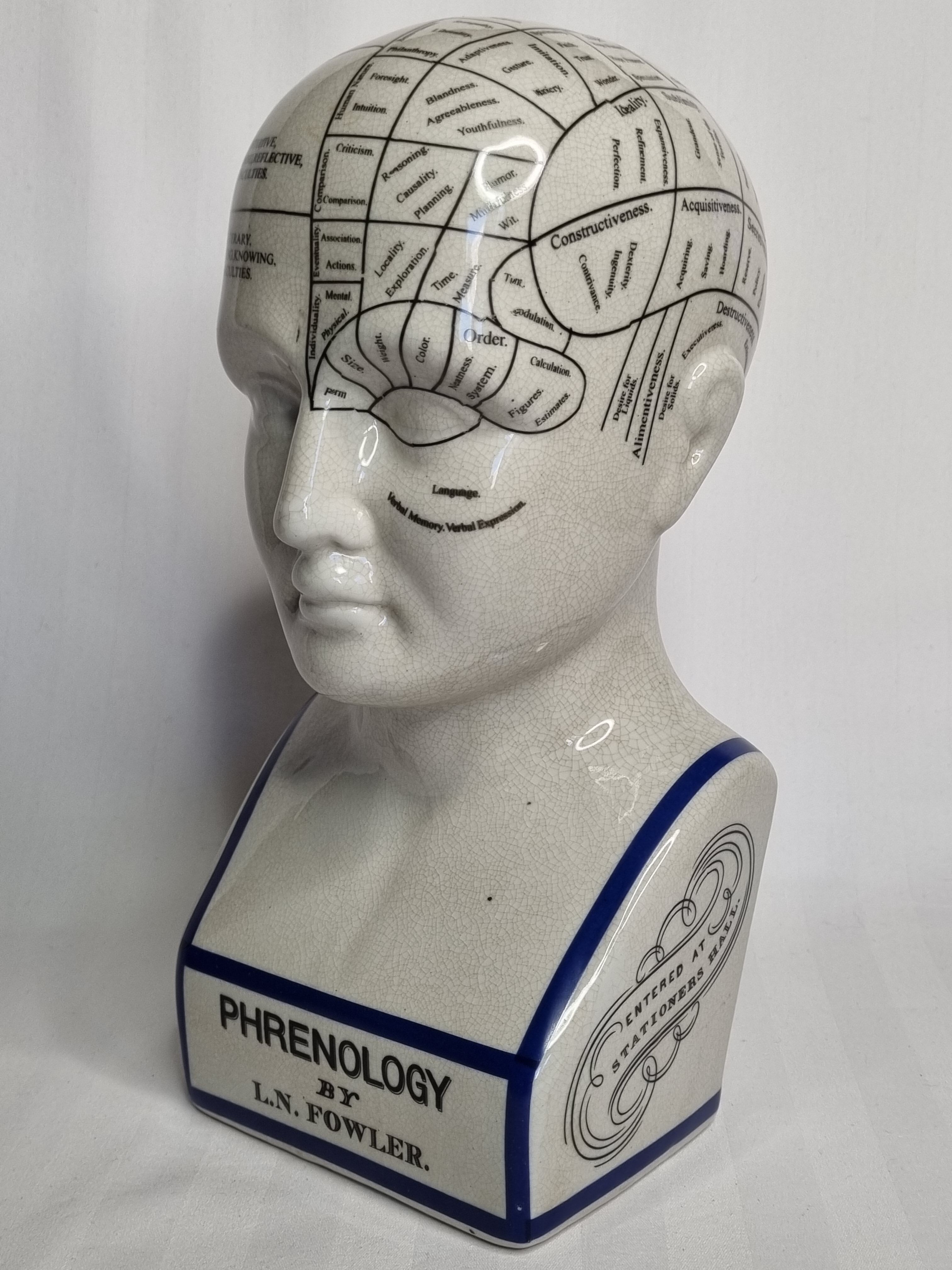 Phrenology bust after d'après L.N. Fowler
