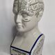 Phrenology bust after d'après L.N. Fowler