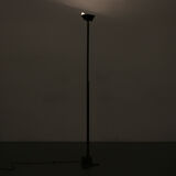 1980s “Eidos” Floor lamp by Manlio Brusatin for Sirrah, Italy