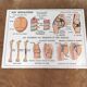 School map and wooden frame MDI Human body
